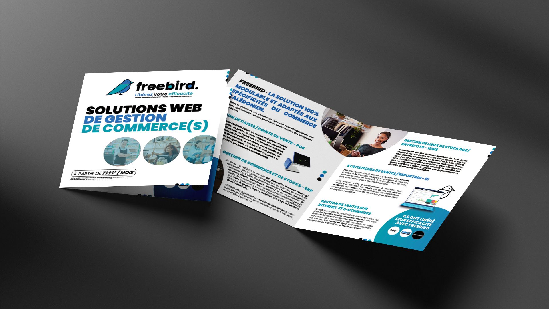 Identité visuelle et plaquette  – FREEBIRD